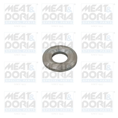 Seal Ring, injector